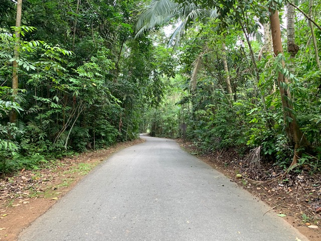 シンガポールの秘境 ウビン島 Pulau Ubin で一味違ったシンガポールを楽しむ よっとこしんがぽーる